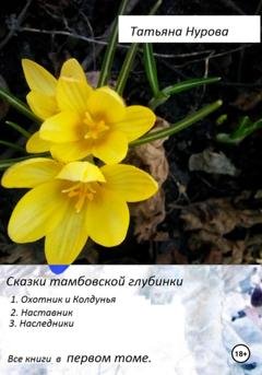 Обложка книги «Сказки тамбовской глубинки. Том первый» — Татьяна Анатольевна Нурова