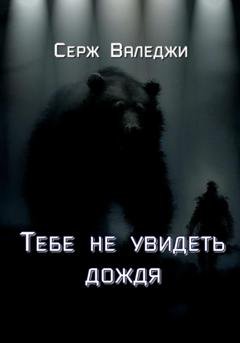 Обложка книги «Тебе не увидеть дождя» — Серж Валеджи