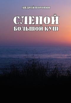 Обложка книги «Слепой. Большой куш» — Андрей Воронин