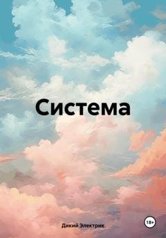 Обложка книги «Система» — Дикий Электрик