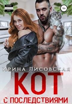 Обложка книги «Кот с последствиями» — Ирина Лисовская