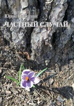 Обложка книги «Частный случай» — Юрий Слепухин