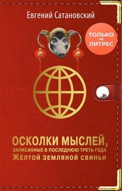 Обложка книги «Осколки мыслей, записанные в последнюю треть года Жёлтой Земляной Свиньи» — Евгений Сатановский