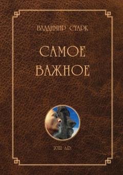 Обложка книги «Самое важное» — Владимир Старк