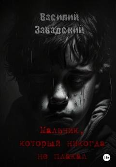 Обложка книги «Мальчик, который никогда не плакал» — Василий Сергеевич Завадский