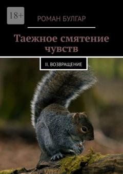 Обложка книги «Таежное смятение чувств. II. Возвращение» — Роман Булгар