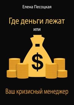 Обложка книги «Где деньги лежат или Ваш кризисный менеджер» — Елена Песоцкая