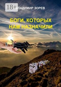 Обложка книги «Боги, которых нам назначили» — Владимир Зорев