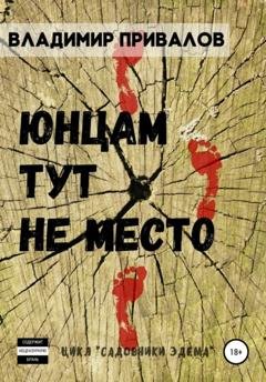 Обложка книги «Юнцам тут не место» — Владимир Привалов