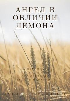 Обложка книги «Ангел в обличии демона» — Амелия Шпилцпберг