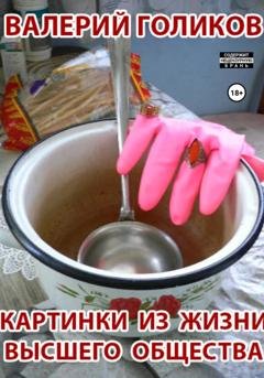 Обложка книги «Картинки из жизни высшего общества» — Валерий Анатольевич Голиков