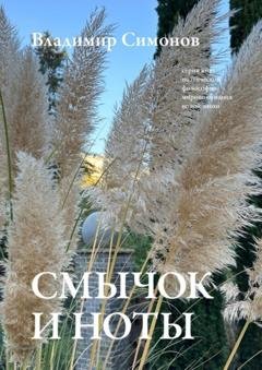 Обложка книги «Смычок и ноты. Серия книг поэтической философии миропонимания новой эпохи» — Владимир Симонов