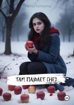 Обложка книги «Там падает снег» — Пчёлка Катерина