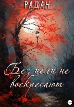 Обложка книги «Без цели не воскресают» — Радан