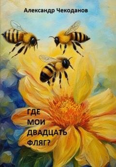 Обложка книги «Где мои двадцать фляг?» — Александр Чекоданов
