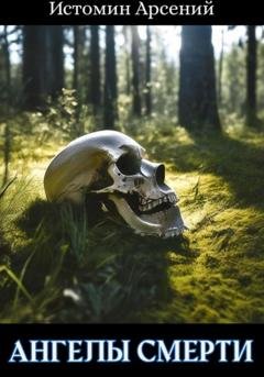Обложка книги «Ангелы смерти» — Арсений Александрович Истомин