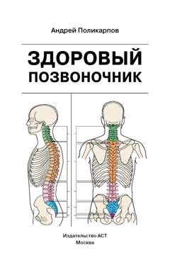 Обложка книги «Здоровый позвоночник» — Андрей Поликарпов