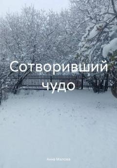 Обложка книги «Сотворивший чудо» — Анна Малова