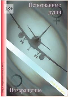Обложка книги «Непознанные души. Возвращение.» — Олег Торопов
