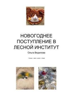 Обложка книги «Новогоднее поступление в Лесной Институт» — Ольга Ведилова