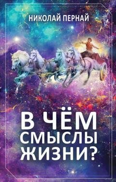 Обложка книги «В чём смыслы жизни?» — Николай Пернай
