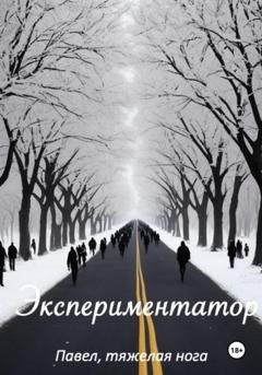 Обложка книги «Экспериментатор» — Павел, тяжёлая нога