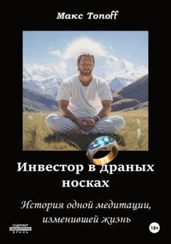 Обложка книги «Инвестор в драных носках. История одной медитации, изменившей жизнь» — Макс Топоff