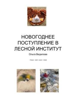 Обложка книги «Новогоднее поступление в Лесной Институт» — Ольга Ведилова