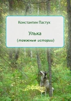 Обложка книги «Улька» — Константин Пастух