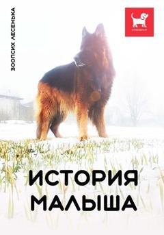 Обложка книги «История Малыша» — Алеся Александровна Малишевская