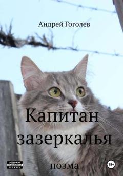 Обложка книги «Капитан зазеркалья» — Андрей Гоголев