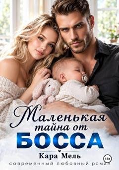 Обложка книги «Маленькая тайна от Босса» — Кара Мель