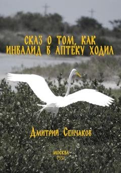 Обложка книги «Сказ о том, как инвалид в аптеку ходил» — Дмитрий Сенчаков