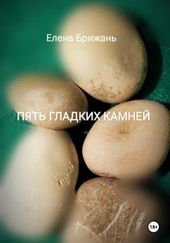 Обложка книги «Пять гладких камней» — Елена Брижань