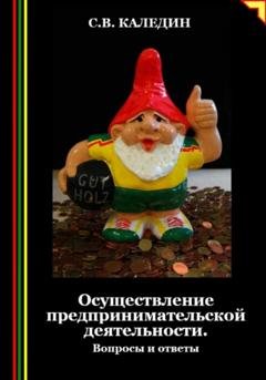 Обложка книги «Осуществление предпринимательской деятельности. Вопросы и ответы» — Сергей Каледин