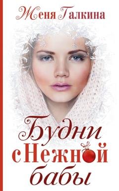 Обложка книги «Будни Снежной бабы» — Женя Галкина