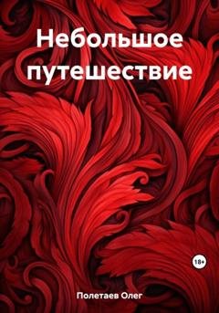 Обложка книги «Небольшое путешествие» — Олег Юрьевич Полетаев