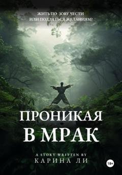 Обложка книги «Проникая в мрак» — Карина Ли