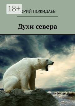 Обложка книги «Духи севера» — Юрий Пожидаев