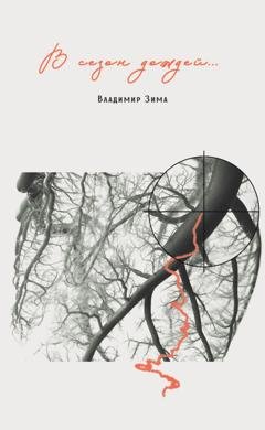 Обложка книги «В сезон дождей…» — Владимир Зима