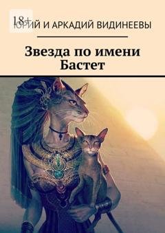 Обложка книги «Звезда по имени Бастет» — Юрий и Аркадий Видинеевы