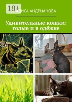 Обложка книги «Удивительные кошки: голые и в одёжке. Сказка для взрослых детей» — Алиса Андрианова