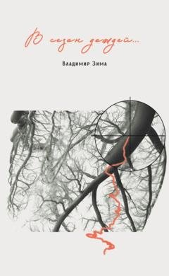 Обложка книги «В сезон дождей….» — Владимир Зима