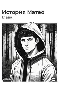 Обложка книги «История Матео. Глава 1» — Арсения Сафонова