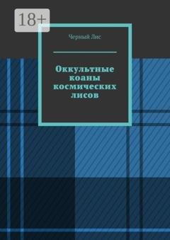 Обложка книги «Оккультные коаны космических лисов» — Черный Лис