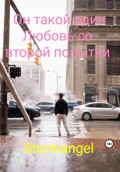 Обложка книги «Он такой один. Любовь со второй попытки» — Stormangel